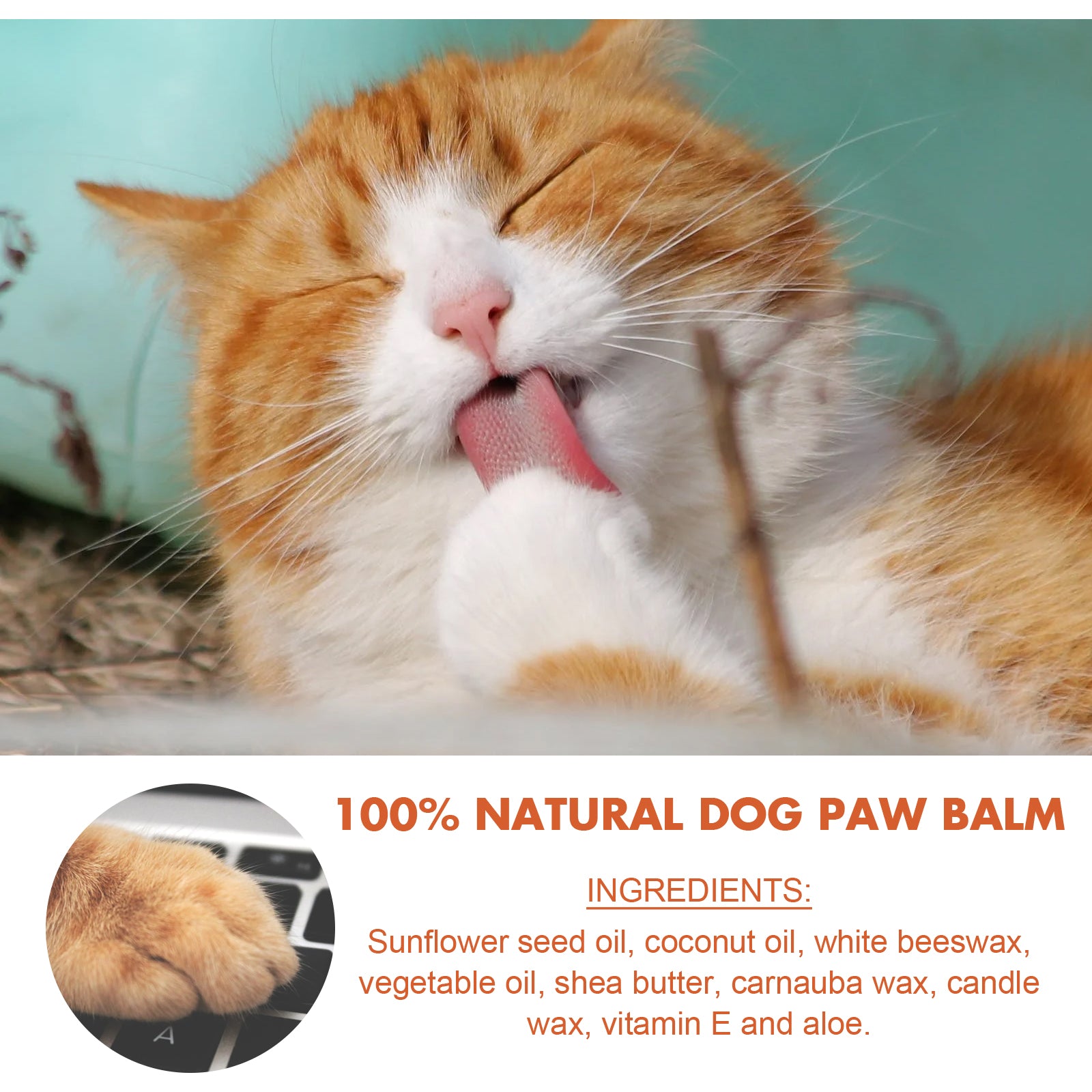 EELHOE Paw Protection Balm – Soothe & Repair Cracked Pads for Pets