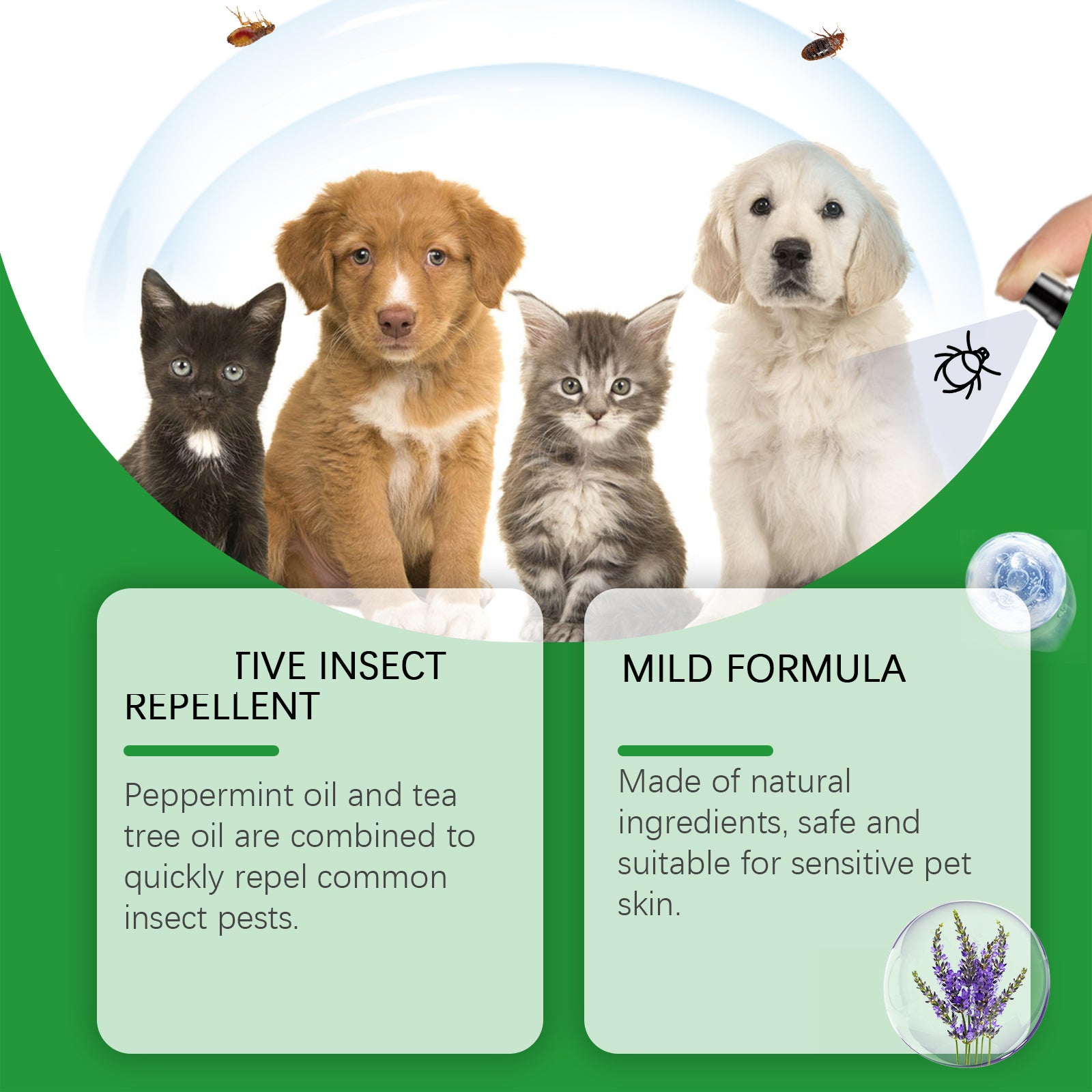 Yegbong Anti-Flea Spray – Mild & Safe Formula for Pets' Skin and Fur