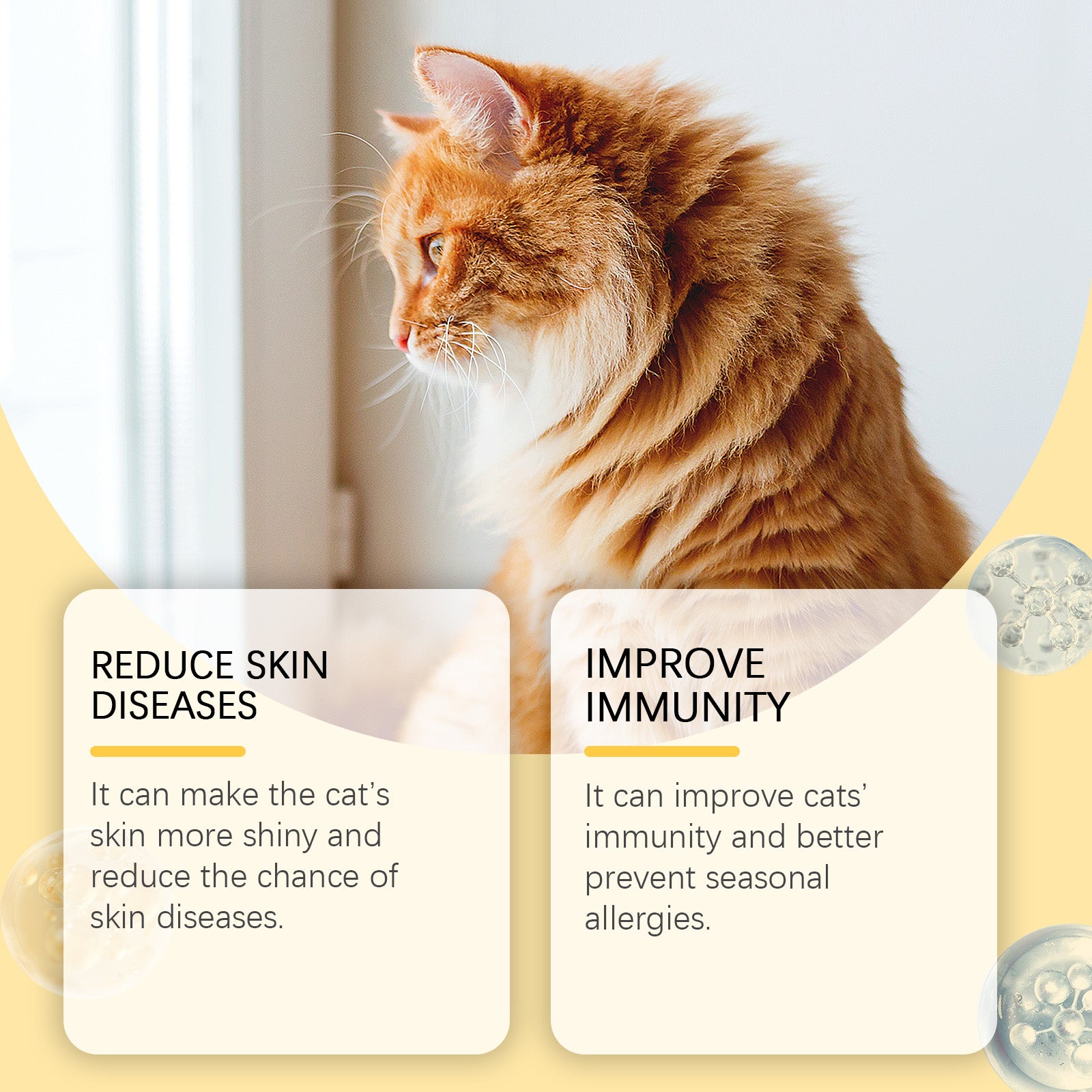 Yegbong Cat Vitamins with Fish Oil – Skin, Fur & Immune Support