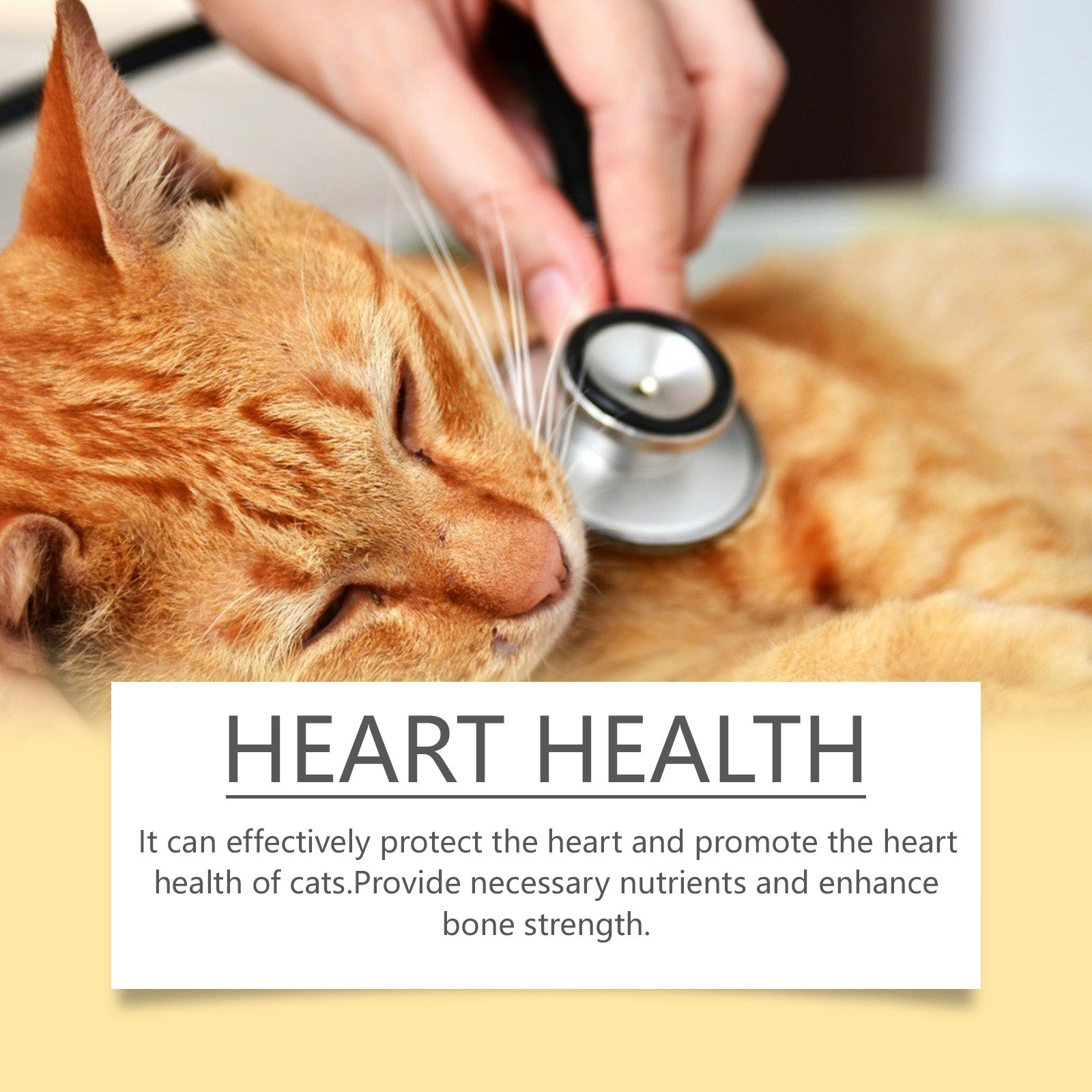 Yegbong Cat Vitamins with Fish Oil – Skin, Fur & Immune Support
