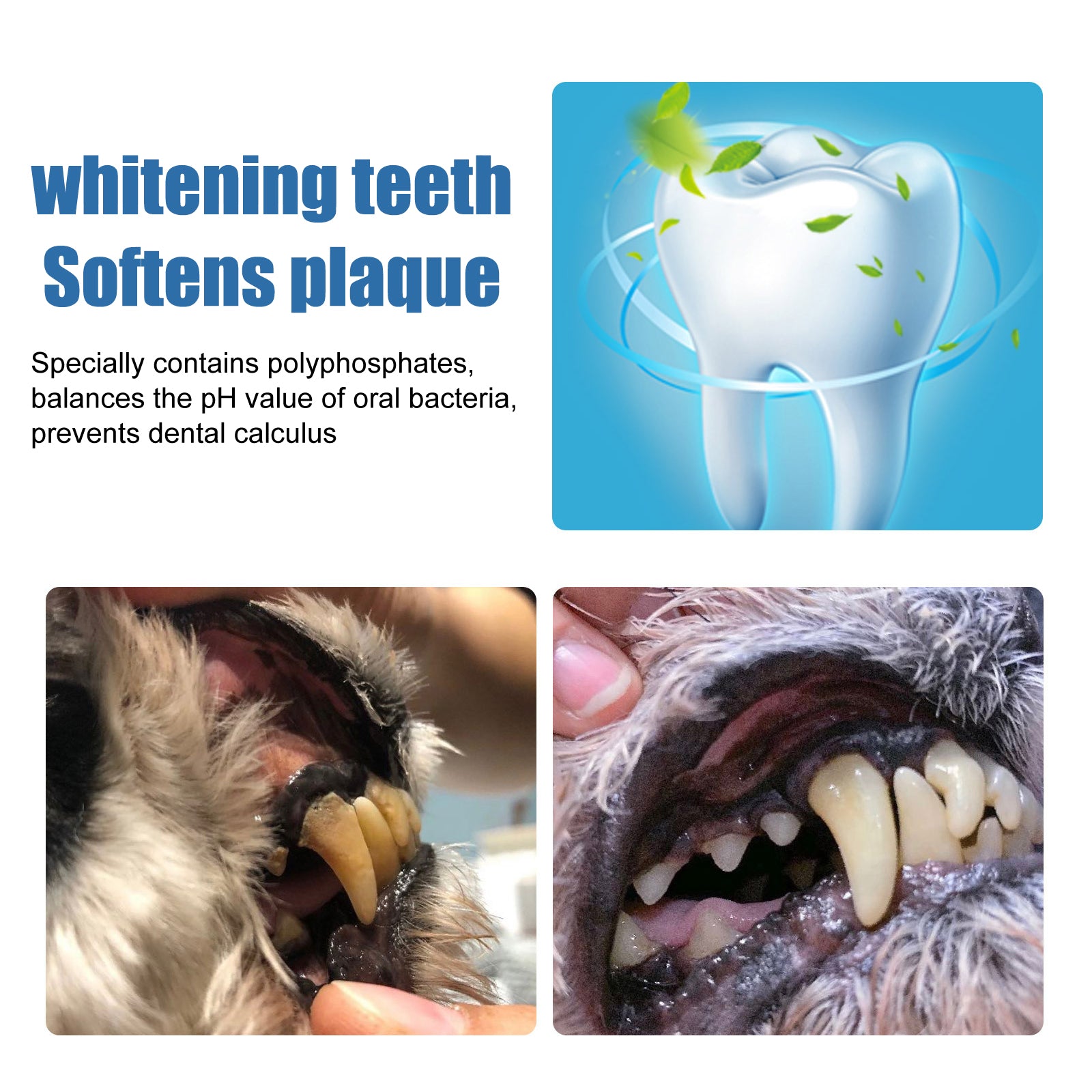 Yegbong Pet Mouth Foam – Clean Teeth, Remove Tartar, Stop Bad Breath