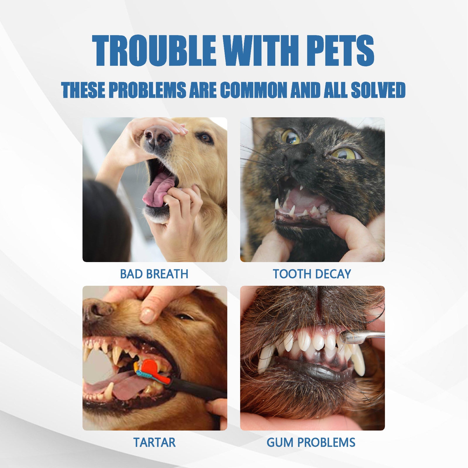 Yegbong Pet Mouth Foam – Clean Teeth, Remove Tartar, Stop Bad Breath