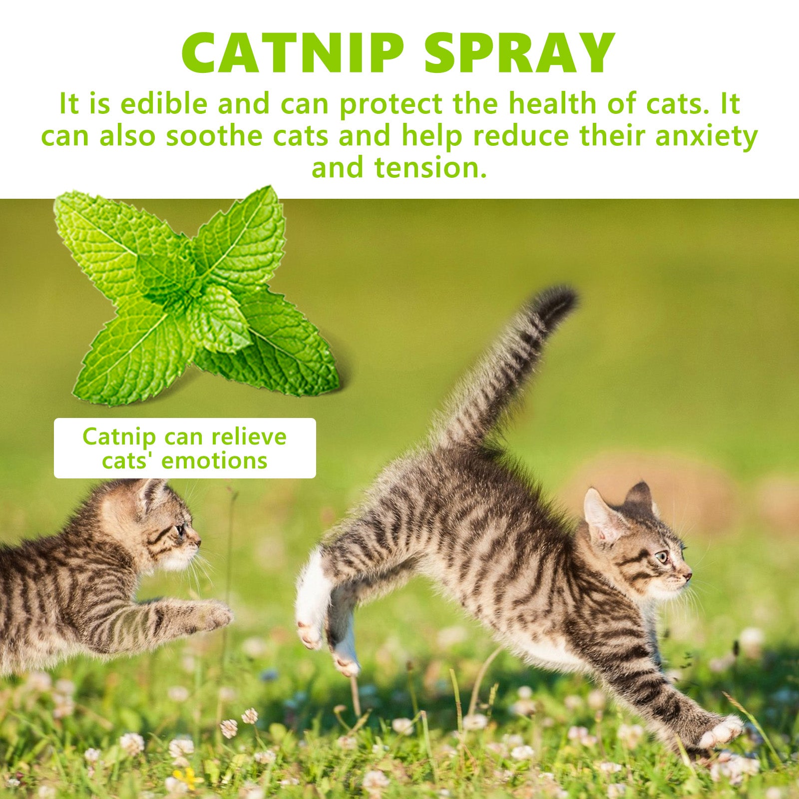 Yegbong Cat Calming Spray with Catnip – Relax & Revive Instantly
