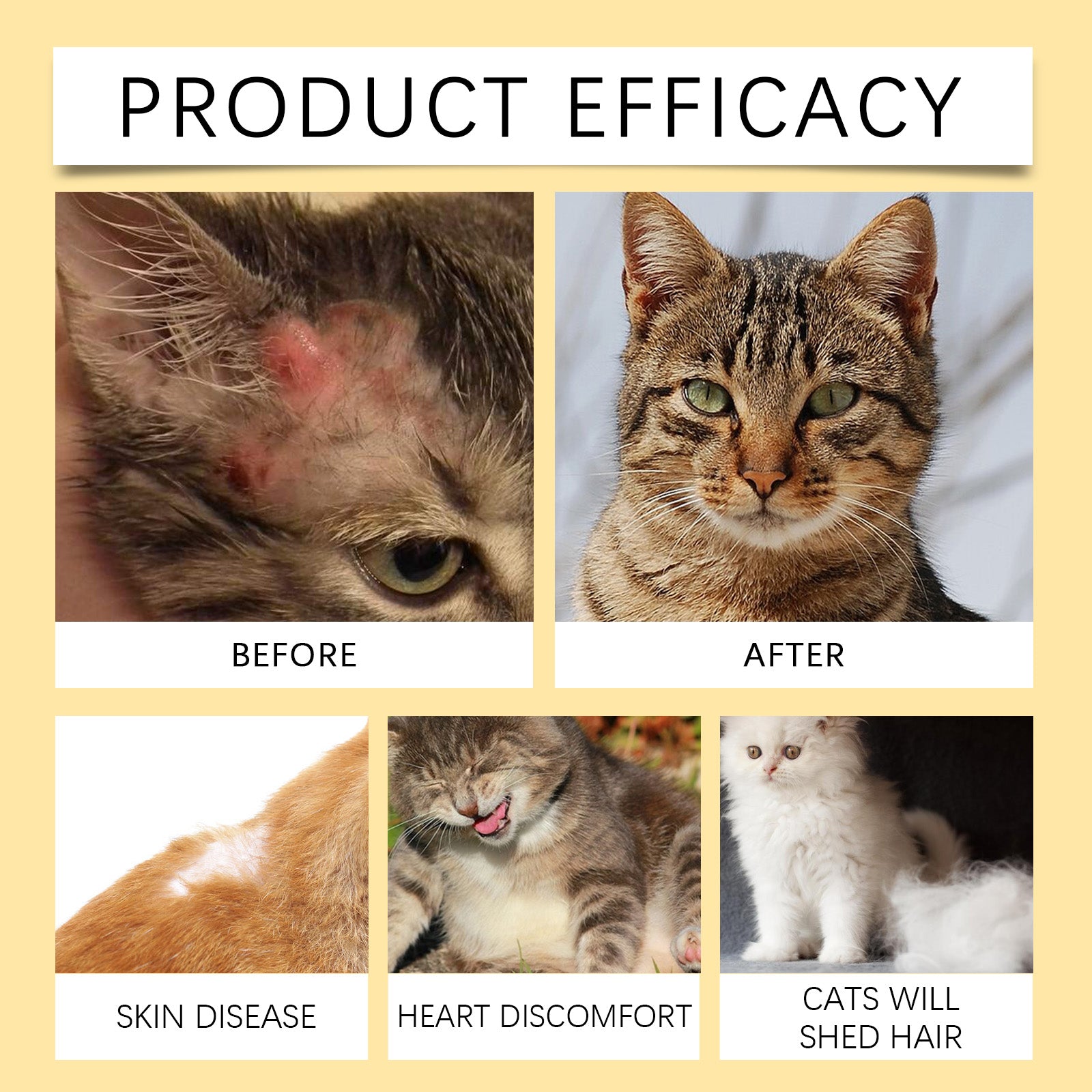 Yegbong Cat Vitamins with Fish Oil – Skin, Fur & Immune Support