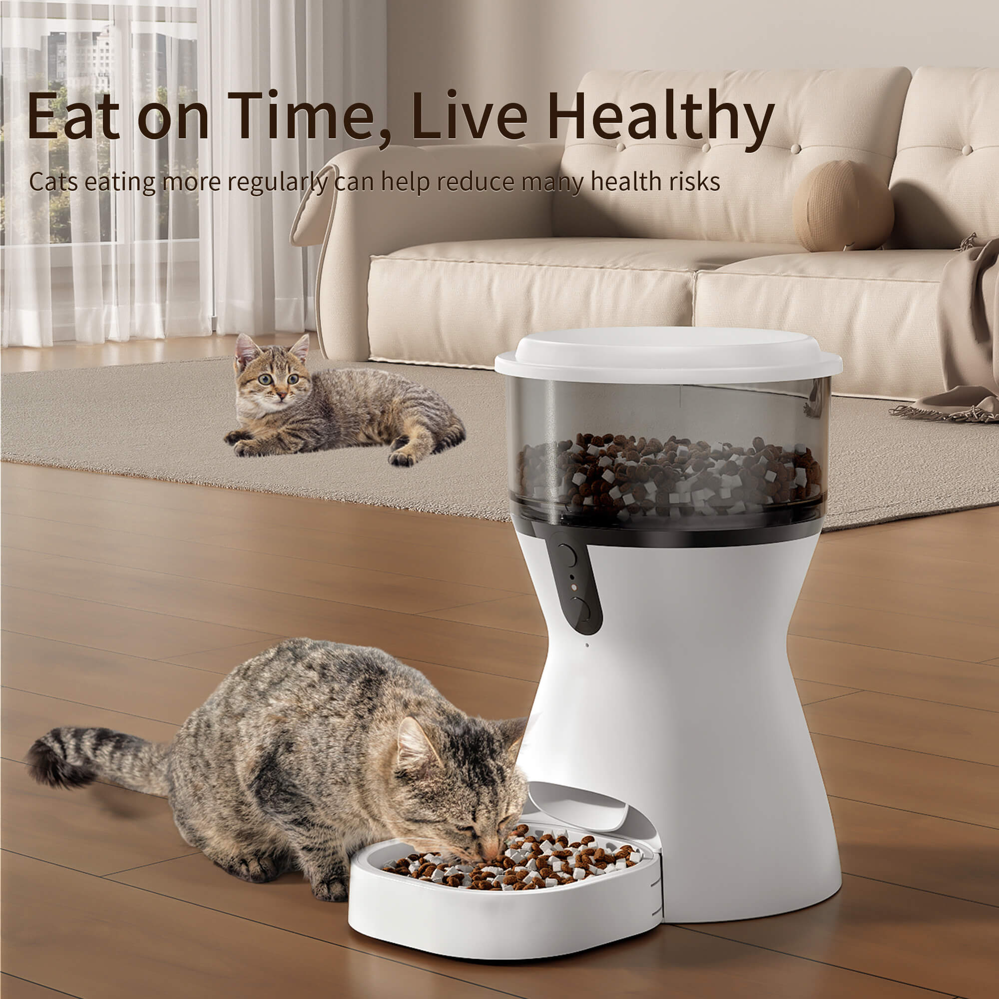 OMCPET Elevated Cat Bowl – Small Raised Feeder for Spine Protection