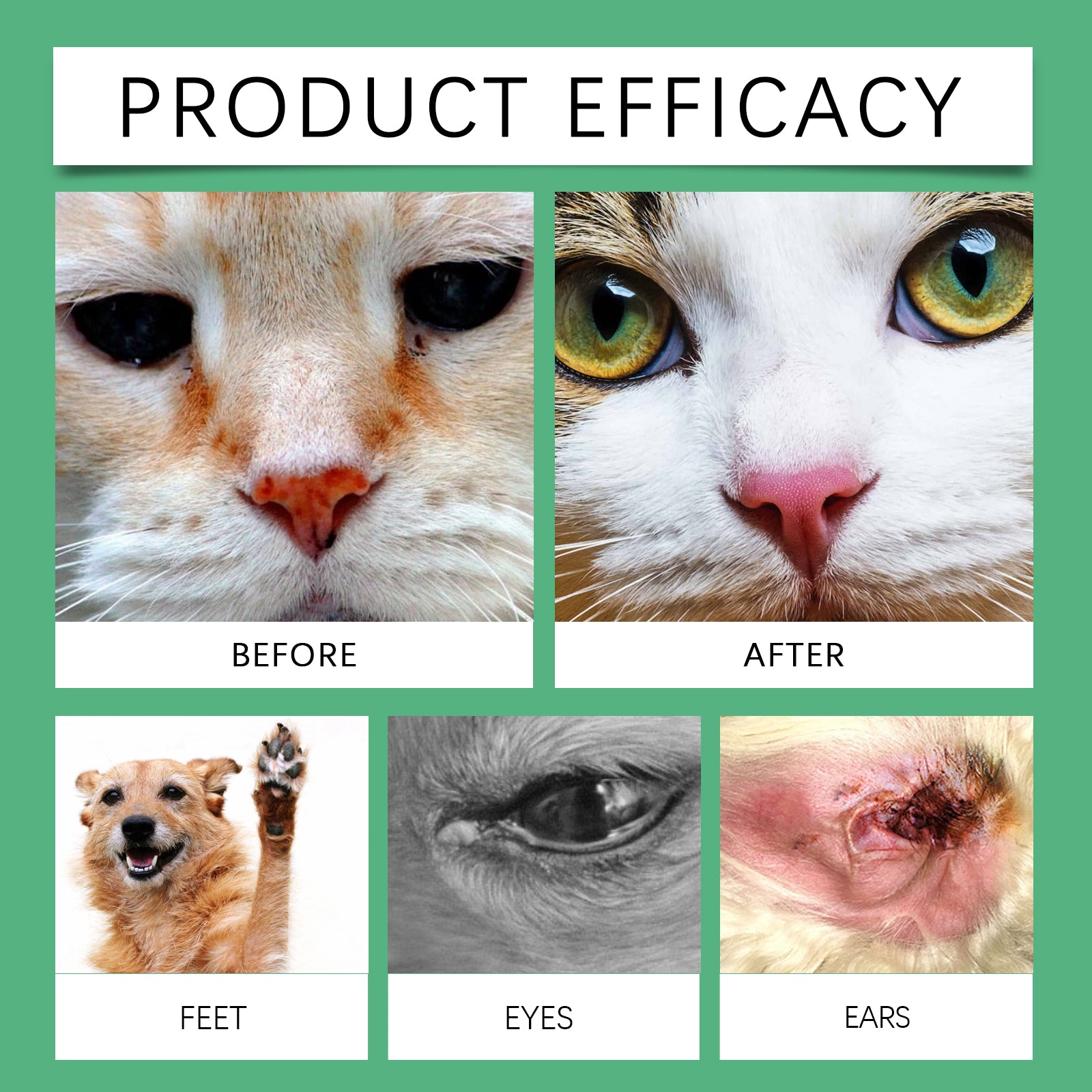 Yegbong Pet Cleaning Gloves – Disposable Grooming Wipes for Cats & Dogs