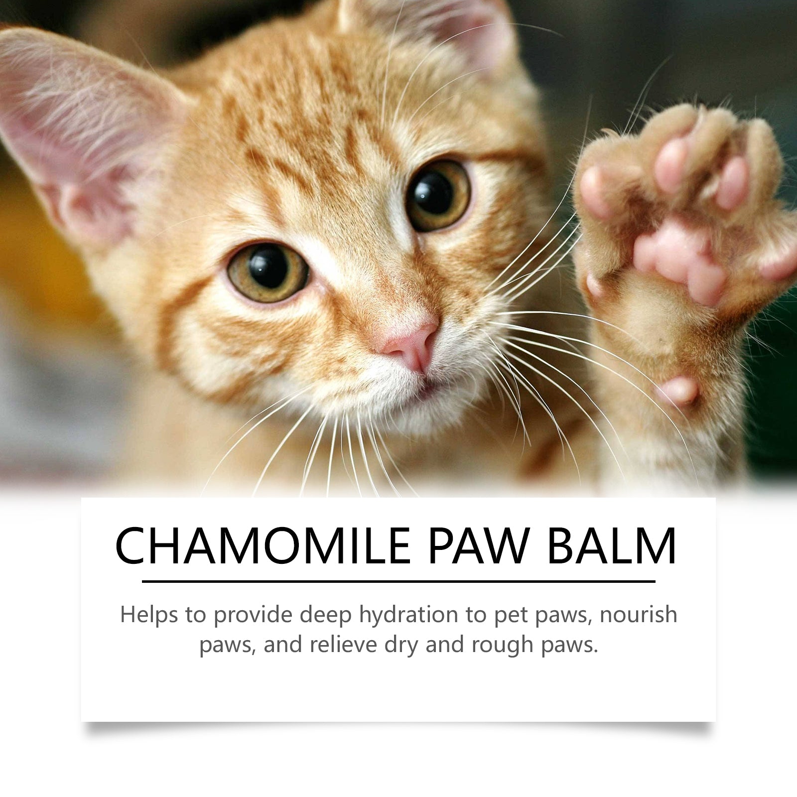 Yegbong Paw Balm for Dogs & Cats – Moisturizing Pet Paw Care Cream
