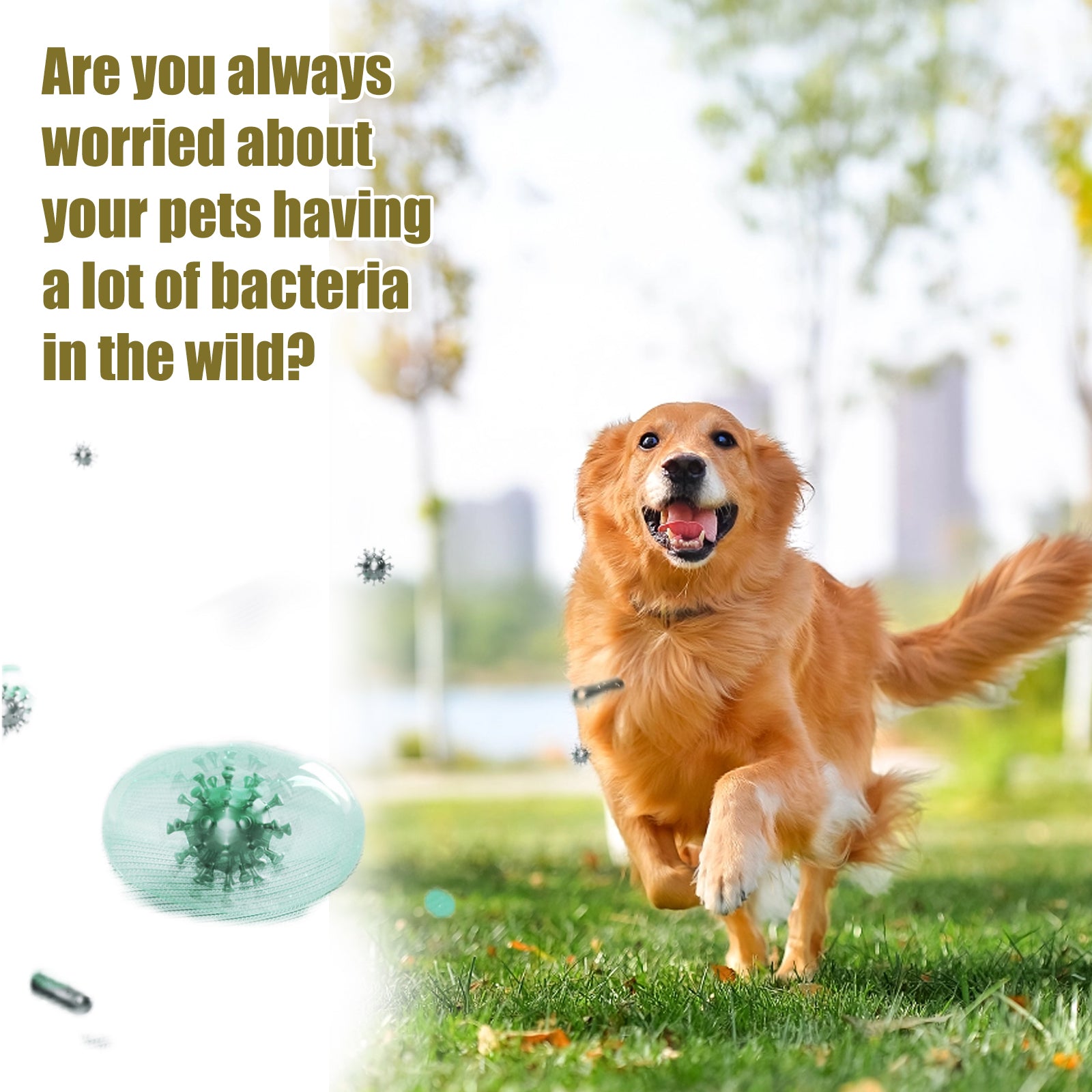 Yegbong Multi-Purpose Pet Wipes – Ear, Eye & Body Cleaning Wipes