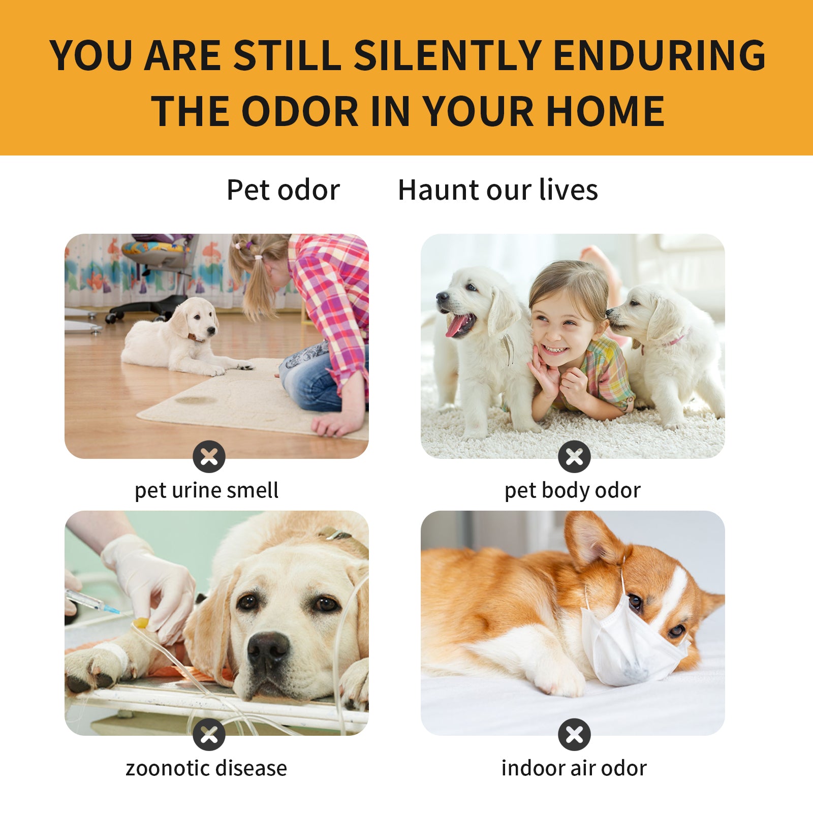 Yegbong Pet Odor Eliminator Spray – Long-Lasting Deodorizer