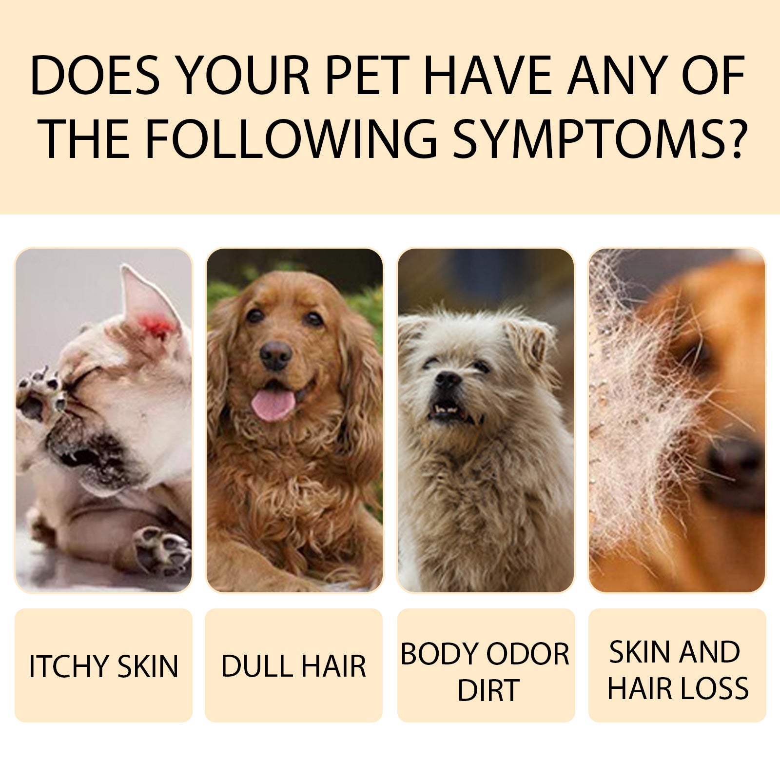 Yegbong Pet Shampoo 100g – Gentle & Deodorizing for Cats and Dogs
