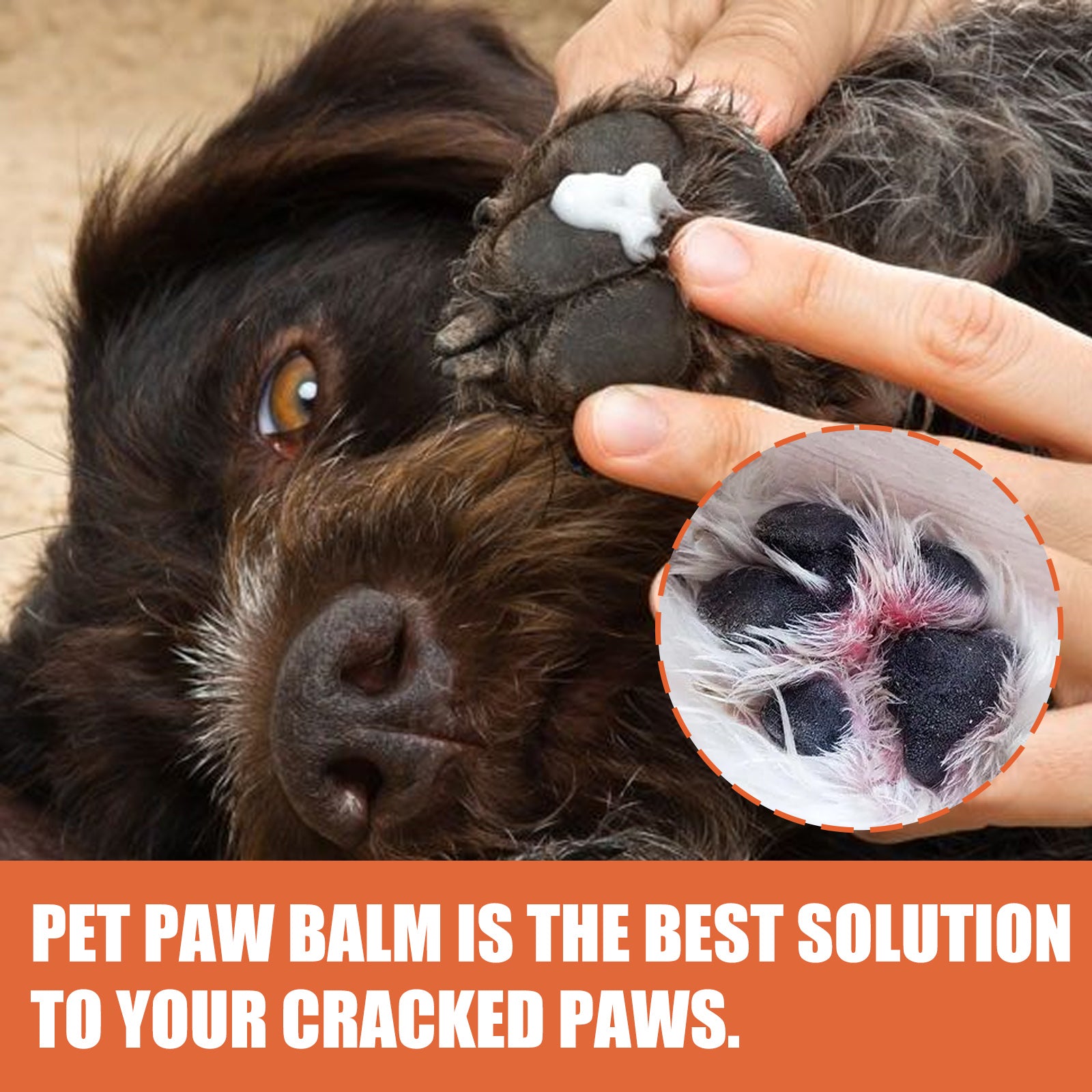 EELHOE Paw Protection Balm – Soothe & Repair Cracked Pads for Pets