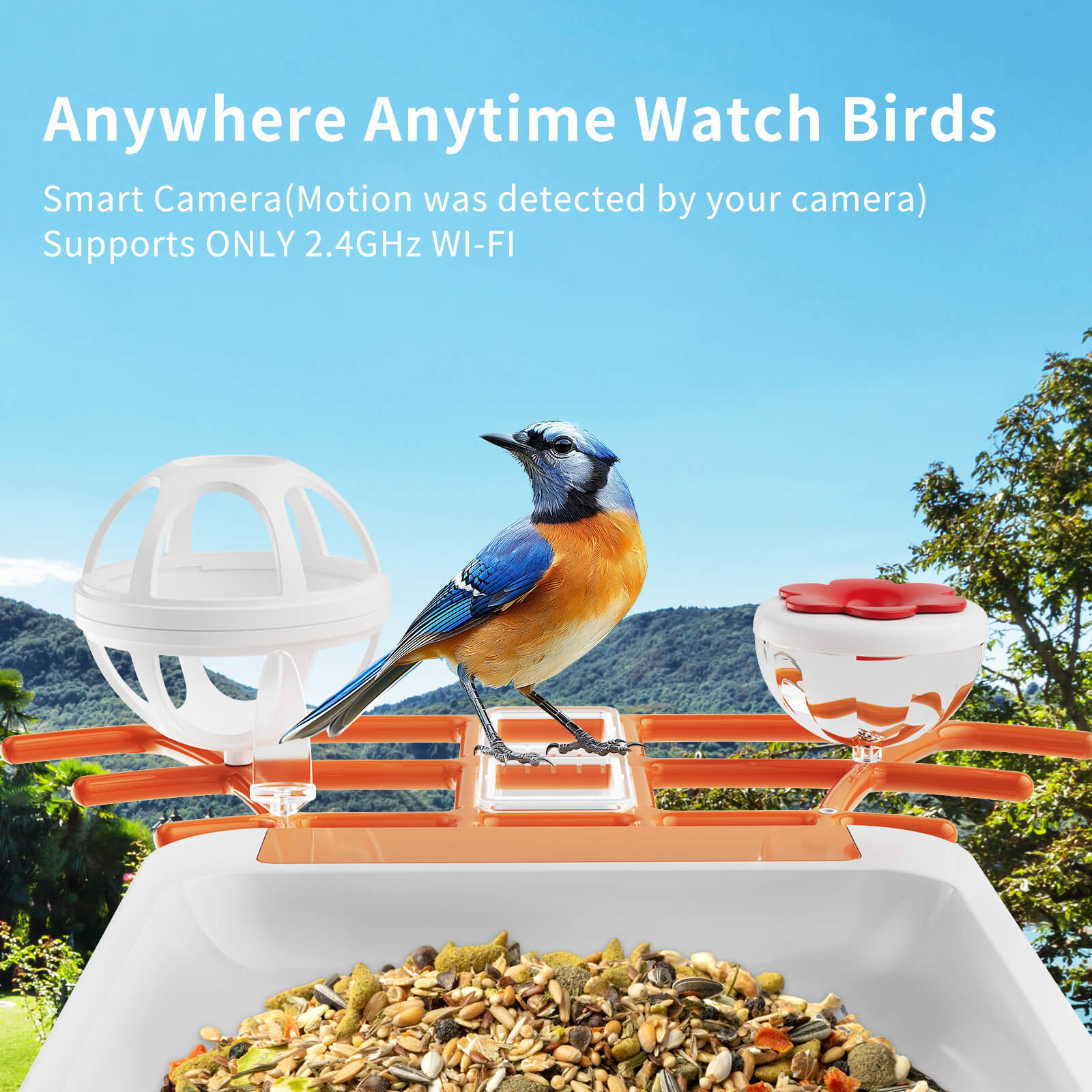 OMCPET Solar Bird Feeder Smart Birdwatching Made Simple
