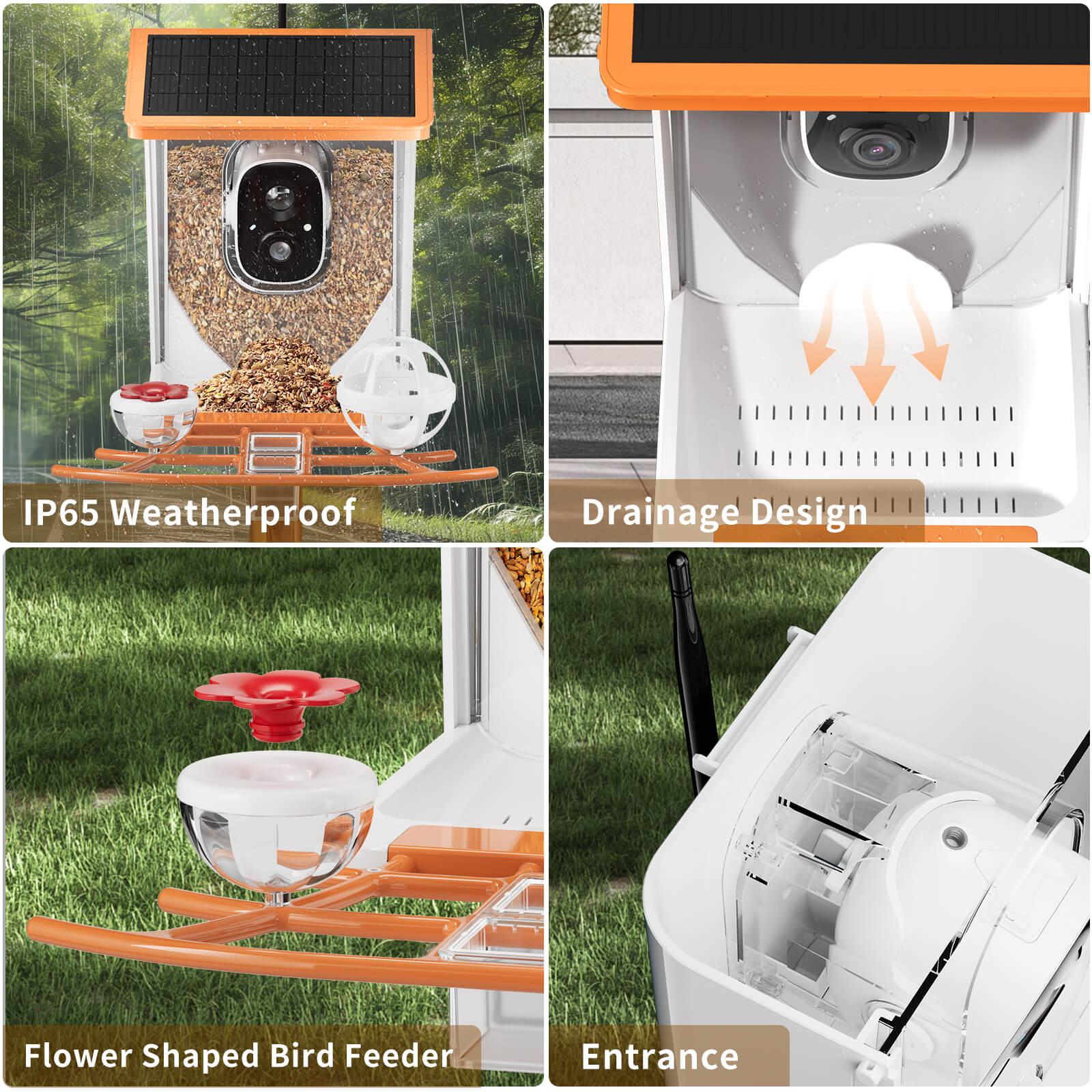 OMCPET Solar Bird Feeder Smart Birdwatching Made Simple