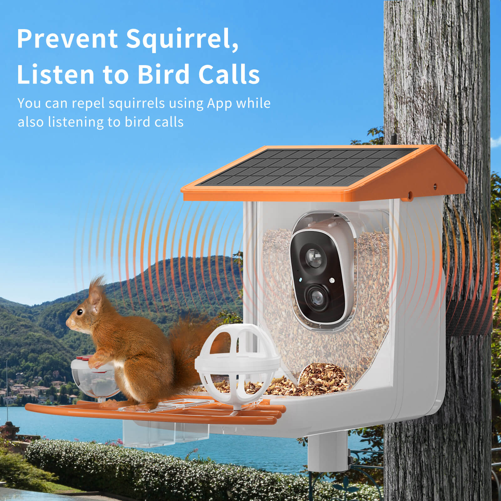 OMCPET Solar Bird Feeder Smart Birdwatching Made Simple