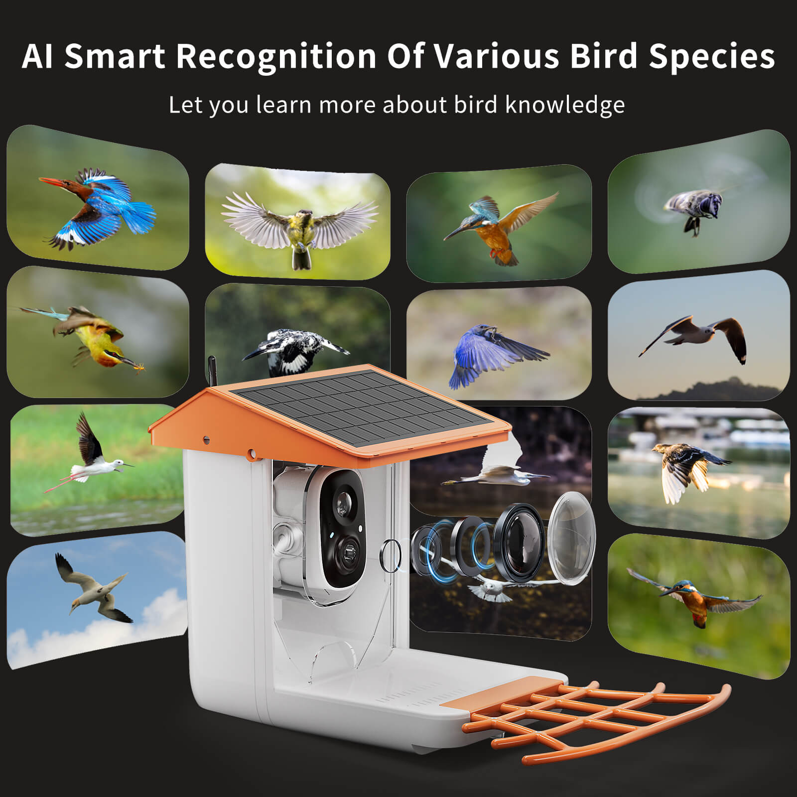 OMCPET Solar Bird Feeder Smart Birdwatching Made Simple