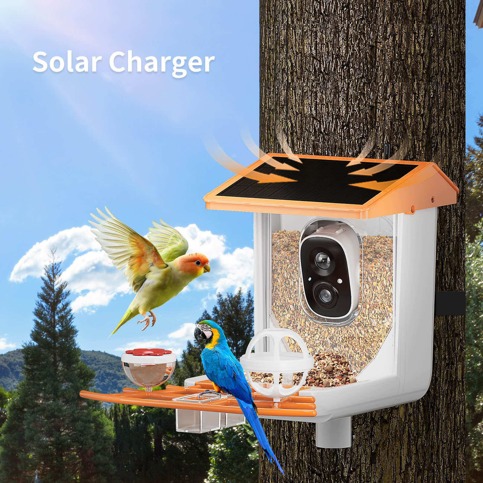 OMCPET Solar Bird Feeder Smart Birdwatching Made Simple