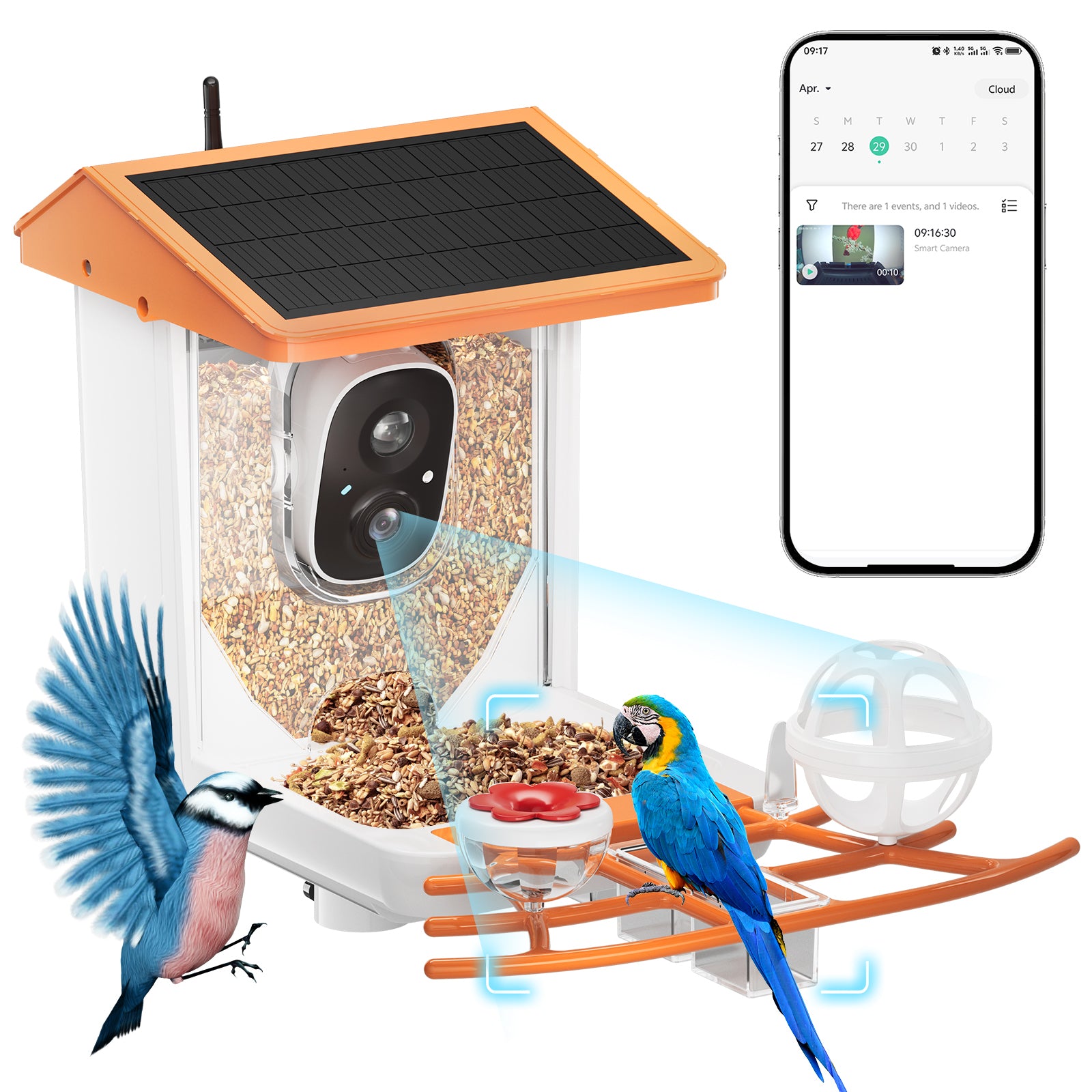 OMCPET Solar Bird Feeder Smart Birdwatching Made Simple