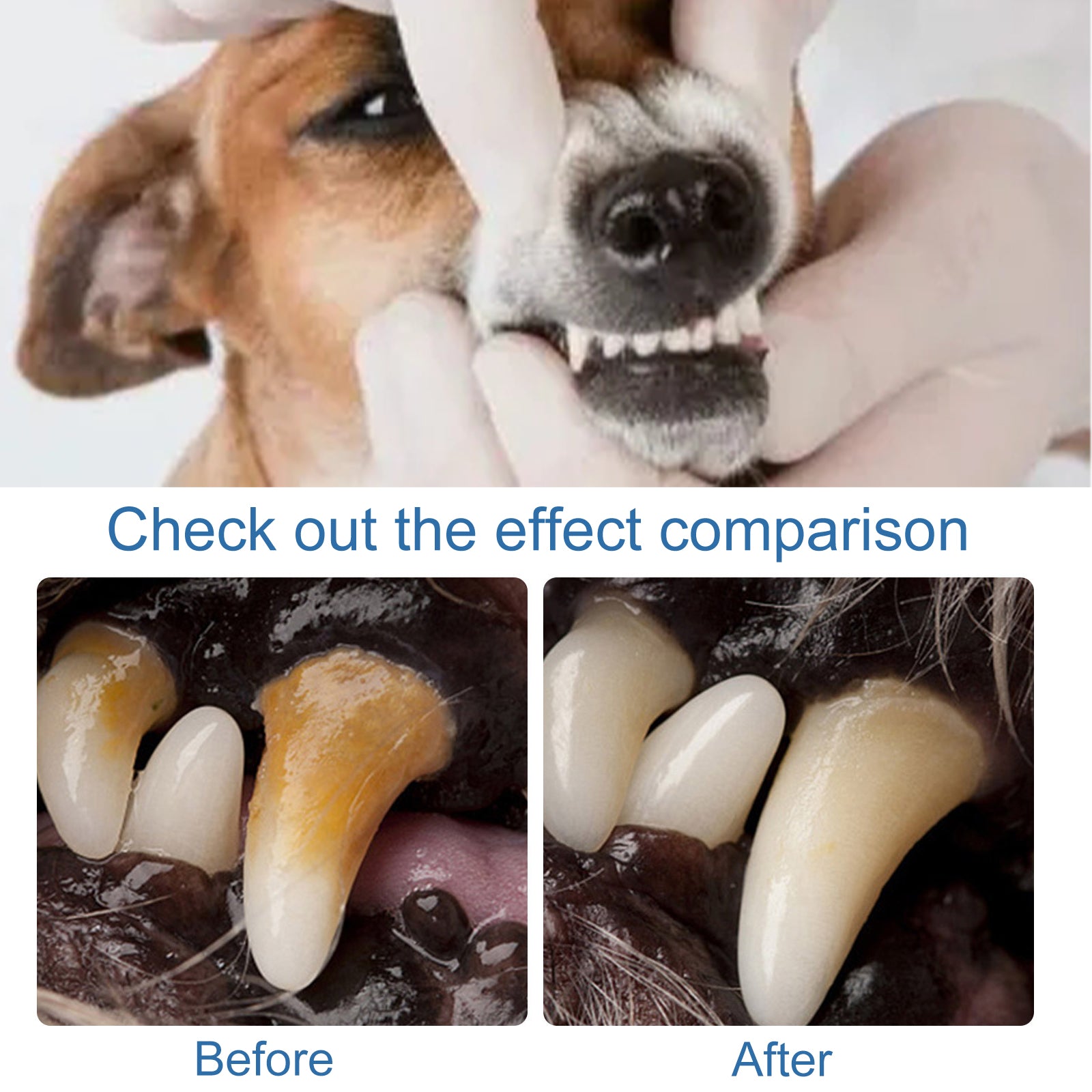 Yegbong Pet Mouth Foam – Clean Teeth, Remove Tartar, Stop Bad Breath