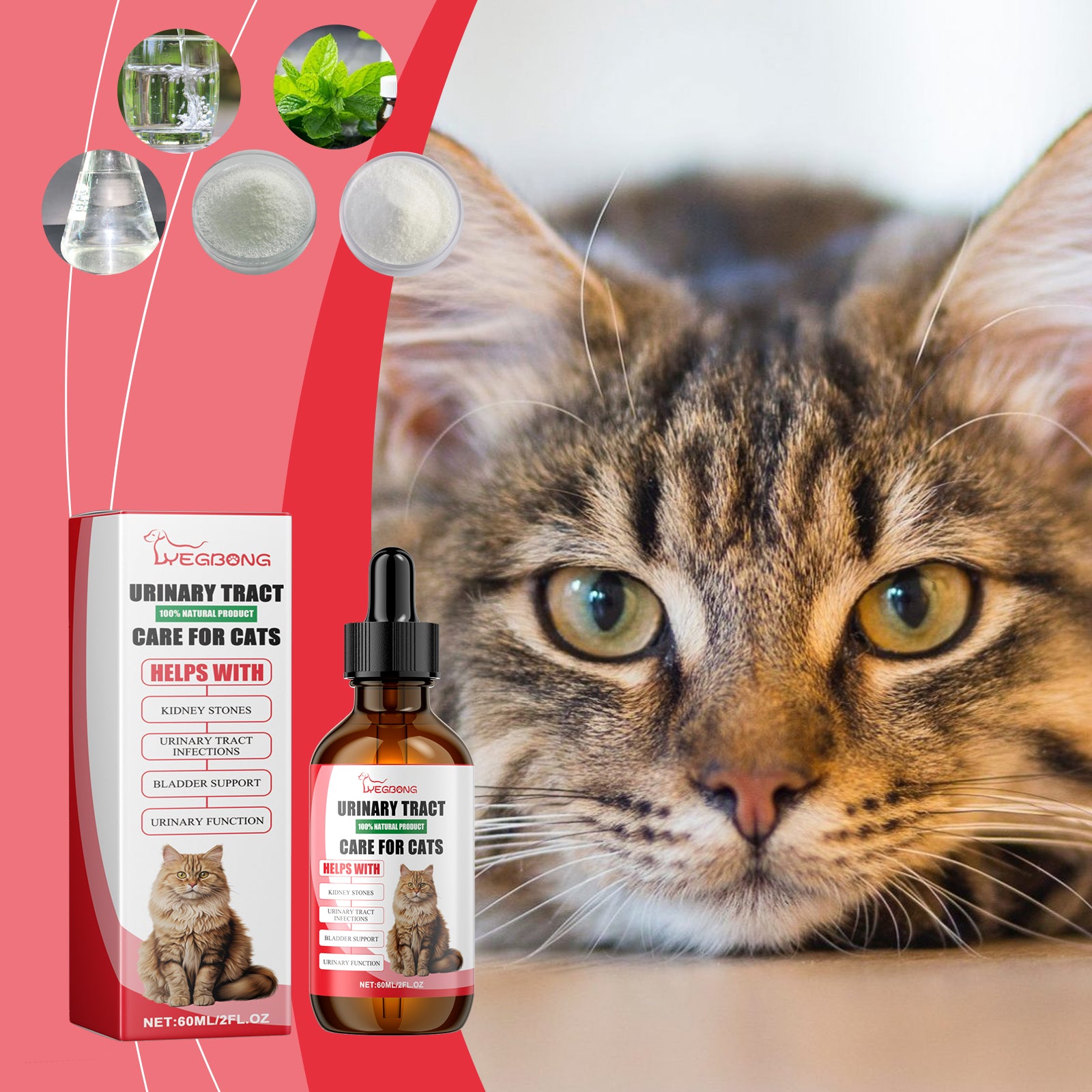 Yegbong Pet Nutritional Supplement for Cats – Digestive & Immune Support