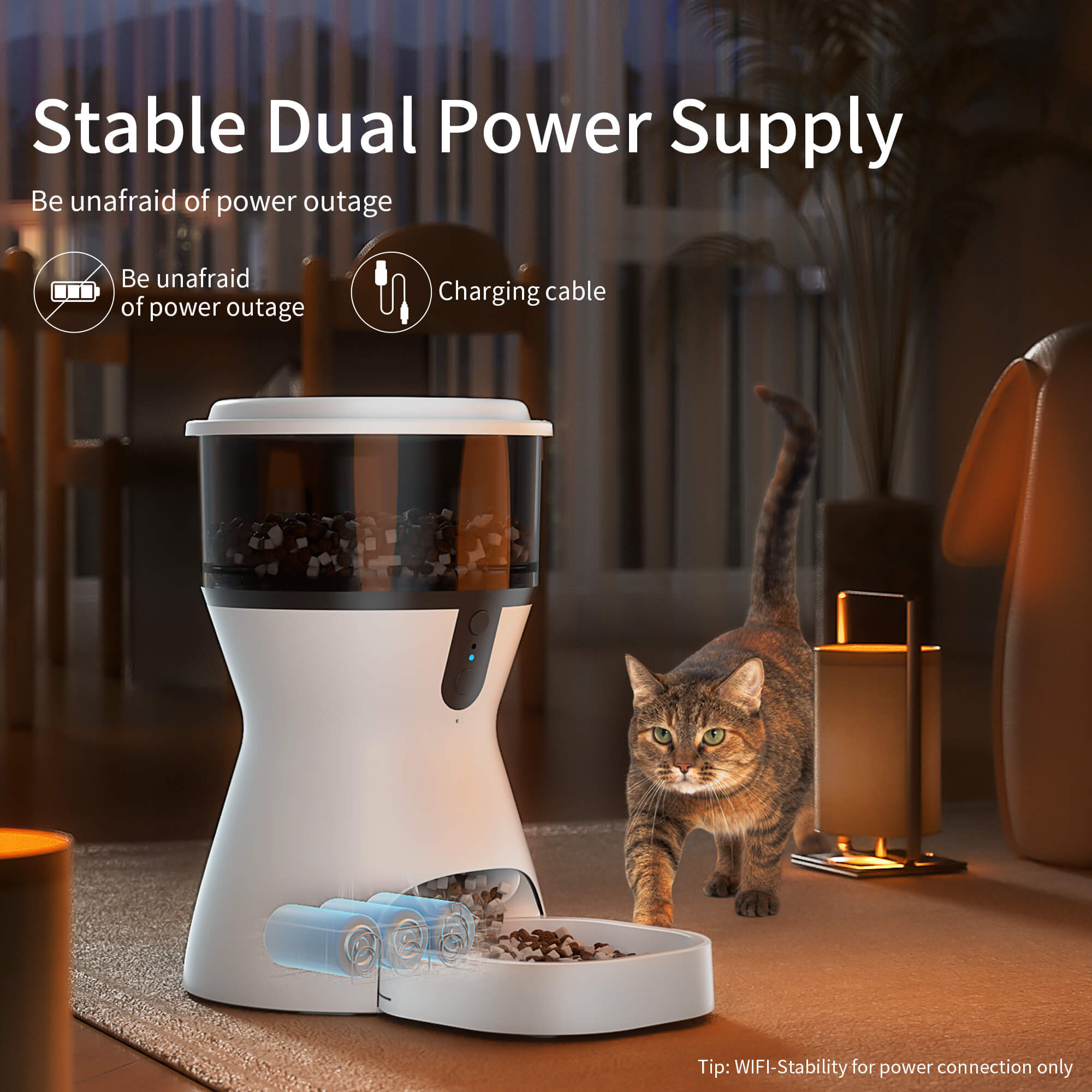 OMCPET Elevated Cat Bowl – Small Raised Feeder for Spine Protection