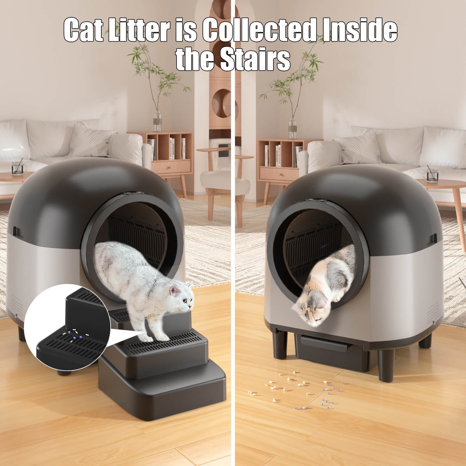OMCPET Cat Step – Safe Climbing & Easy Access for Cats