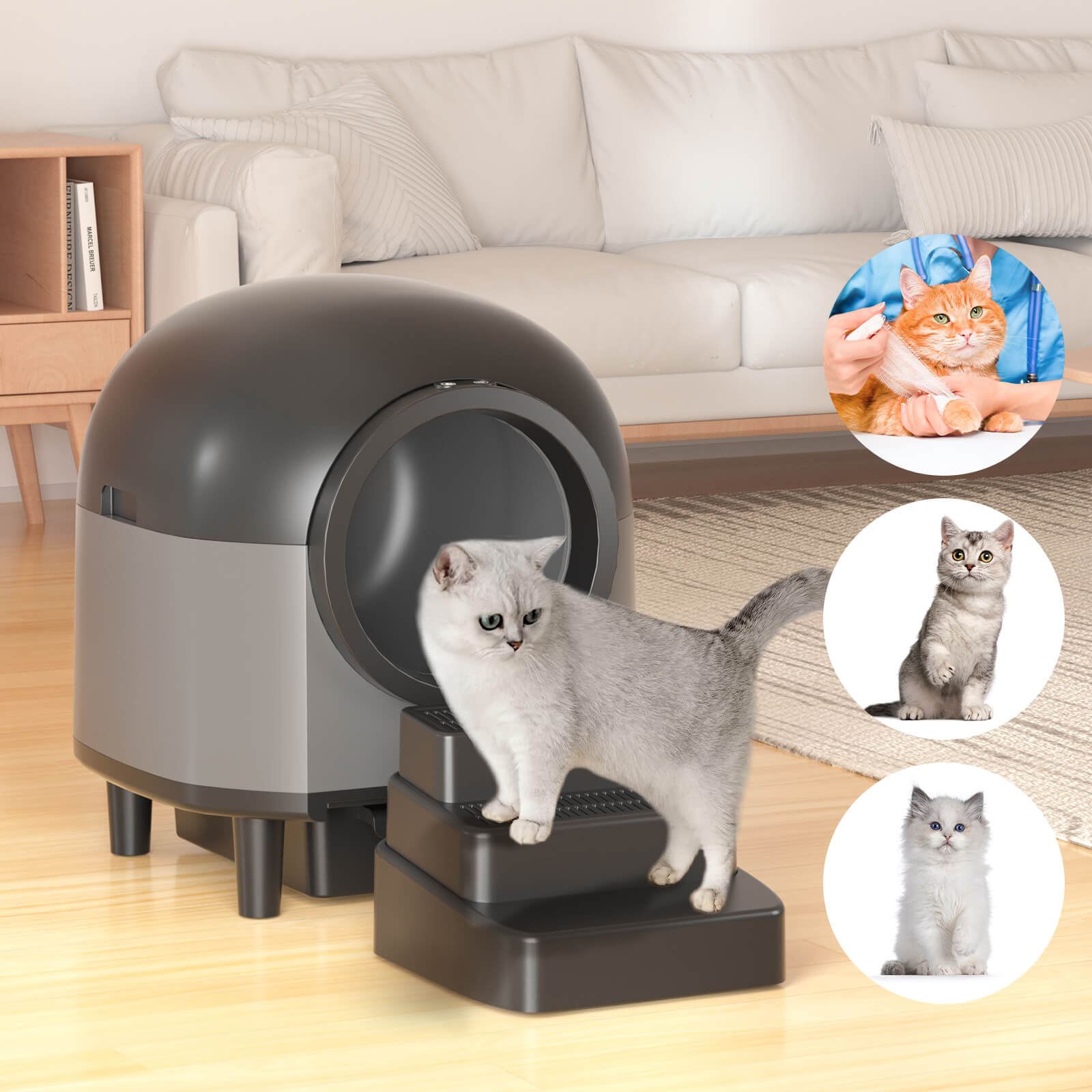 OMCPET Cat Step – Safe Climbing & Easy Access for Cats